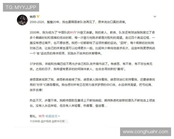 武汉羽毛球队精英赛征程回顾与奋斗精神的深度剖析